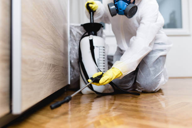 Professional Pest Control in Ashland, CA
