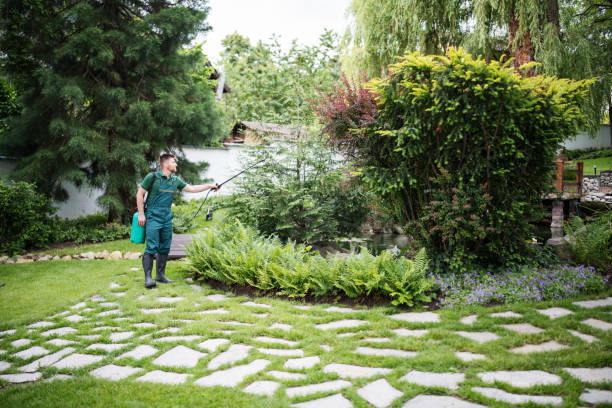Wasp Removal Services in Ashland, CA