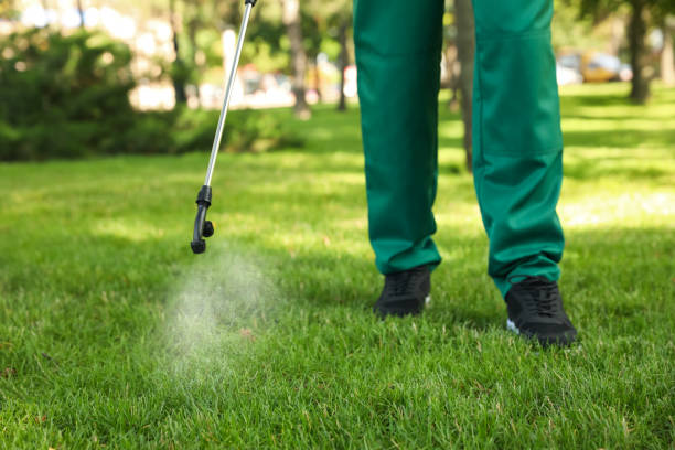 Best Pest Control Near Me  in Ashland, CA