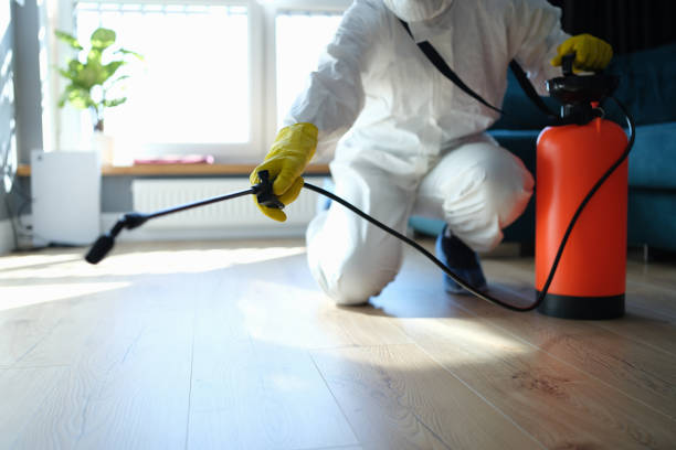 Best Insect Control  in Ashland, CA