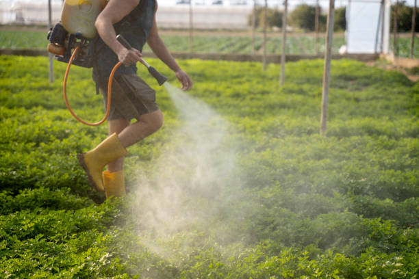 Best Pest Prevention Services  in Ashland, CA